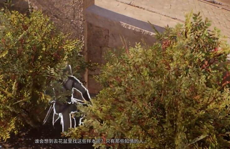 《刺客教條幻景》合約植物學家攻略 《刺客教條幻景》合約植物學家攻略