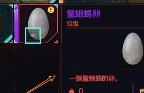 《電馭叛客2077》蜥蜴蛋作用介紹 《電馭叛客2077》蜥蜴蛋作用介紹