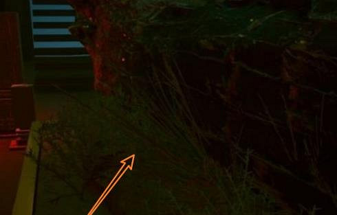 《電馭叛客2077》蜥蜴蛋孵化時間 《電馭叛客2077》蜥蜴蛋孵化時間