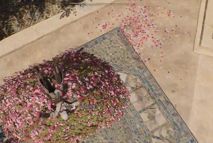 《刺客教條幻景》合約植物學家攻略 《刺客教條幻景》合約植物學家攻略