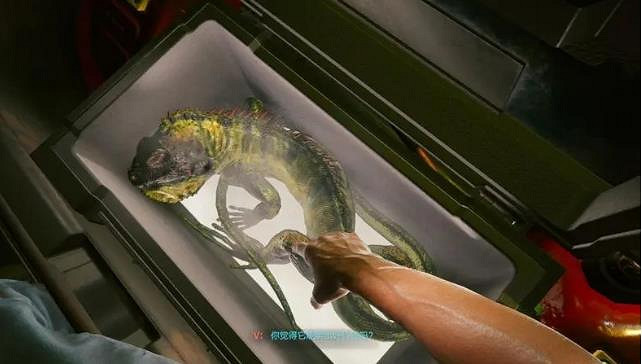 《電馭叛客2077》蜥蜴蛋孵化方法 《電馭叛客2077》蜥蜴蛋孵化方法