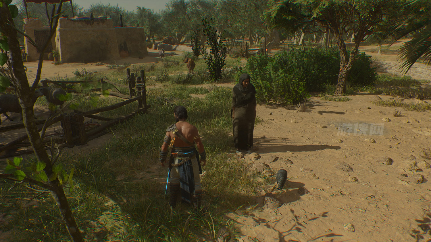 育碧有心了!《刺客教條:幻景》隱藏任務送貓貓回家 育碧有心了!《刺客教條:幻景》隱藏任務送貓貓回家