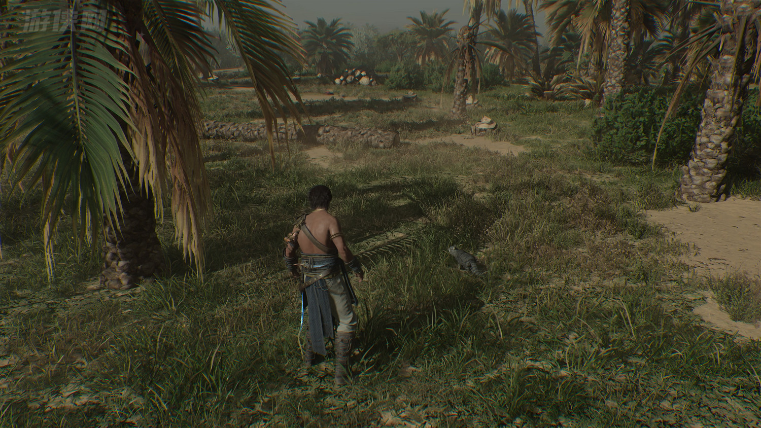 育碧有心了!《刺客教條:幻景》隱藏任務送貓貓回家 育碧有心了!《刺客教條:幻景》隱藏任務送貓貓回家