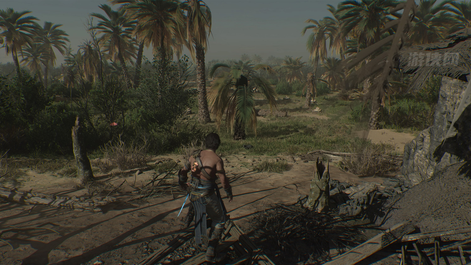 育碧有心了!《刺客教條:幻景》隱藏任務送貓貓回家 育碧有心了!《刺客教條:幻景》隱藏任務送貓貓回家