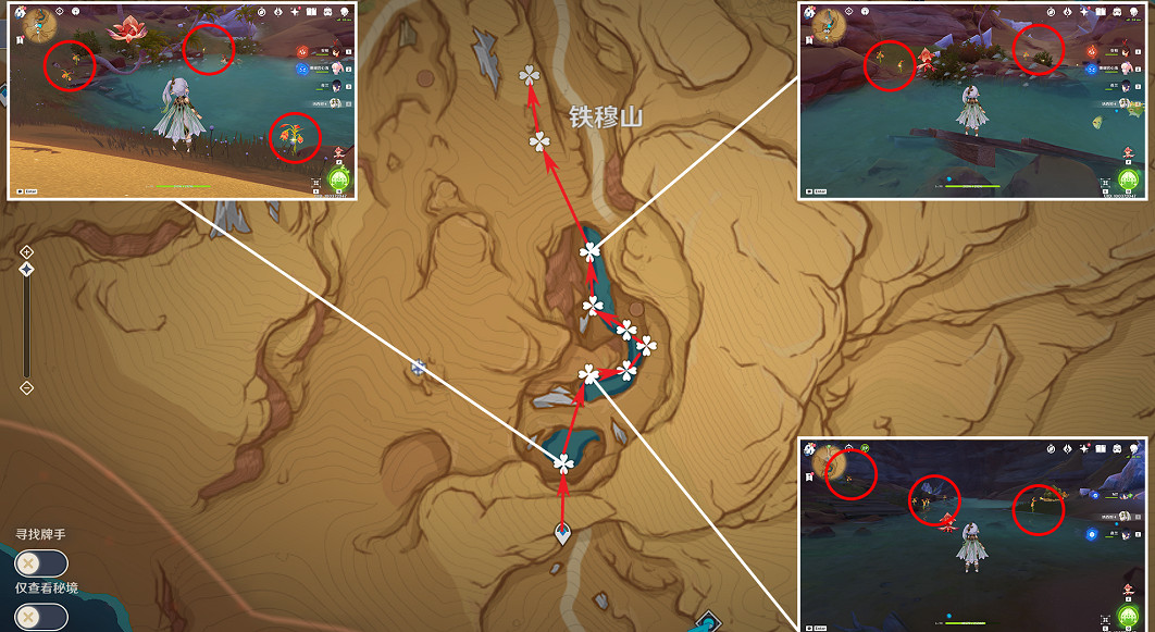 《原神》4.1悼靈花收集路線