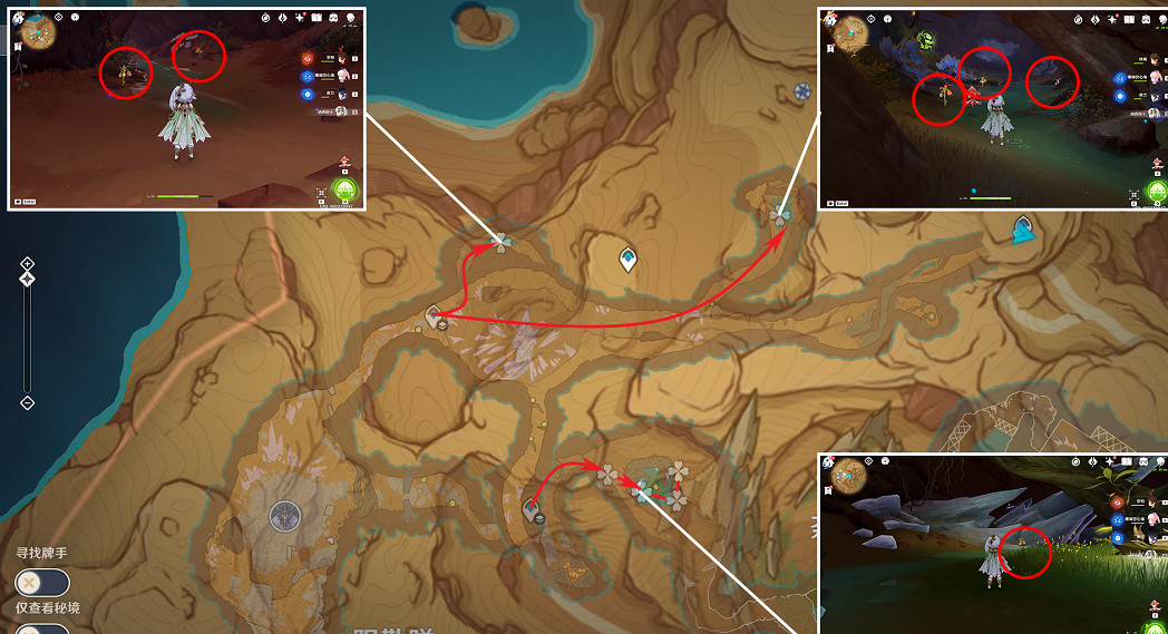 《原神》4.1悼靈花收集路線