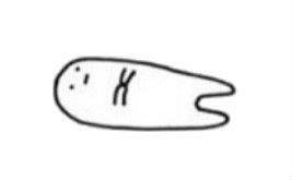 中國被玩爛了的合成大西瓜,怎麽突然在日本爆火了? 中國被玩爛了的合成大西瓜,怎麽突然在日本爆火了?