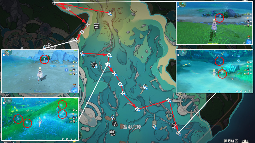 《原神》4.1海露花收集路線