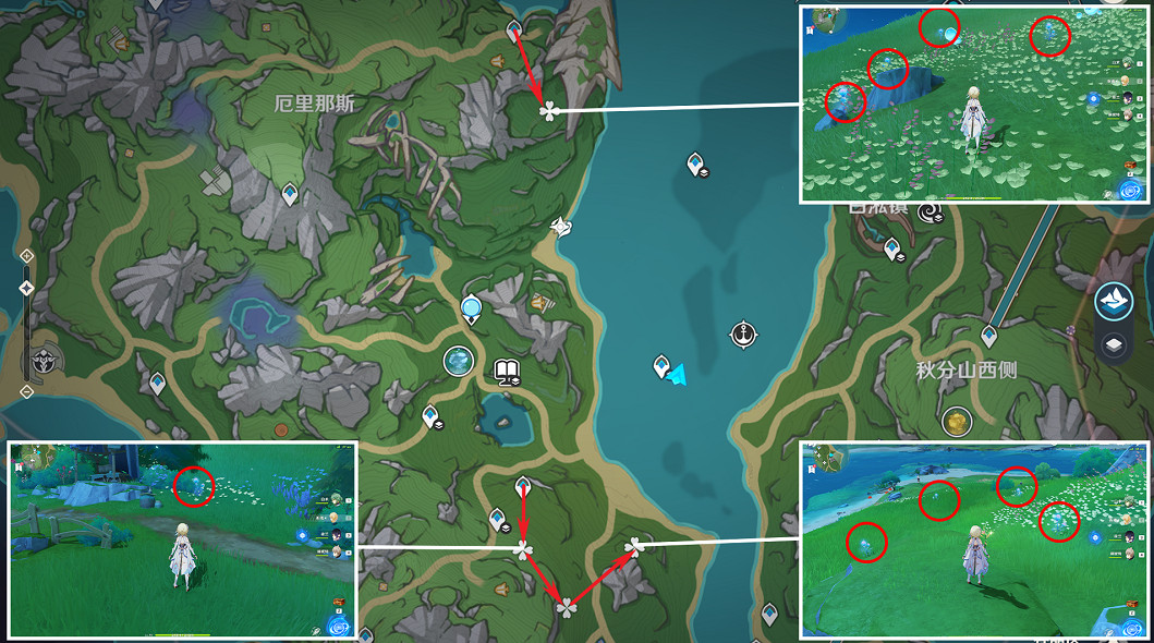 《原神》4.1海露花收集路線