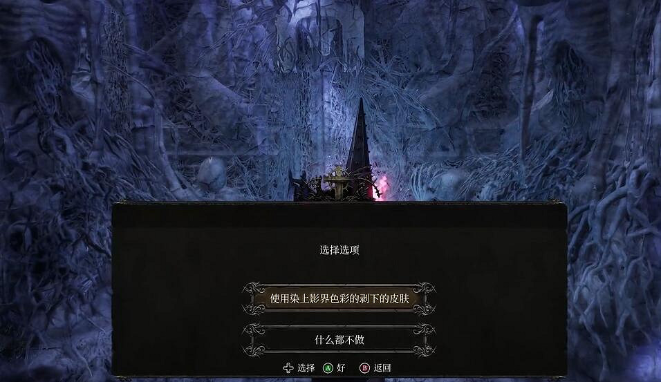 《墮落之主》染上影界色彩的剝下的皮膚使用位置介紹 《墮落之主》染上影界色彩的剝下的皮膚使用位置介紹