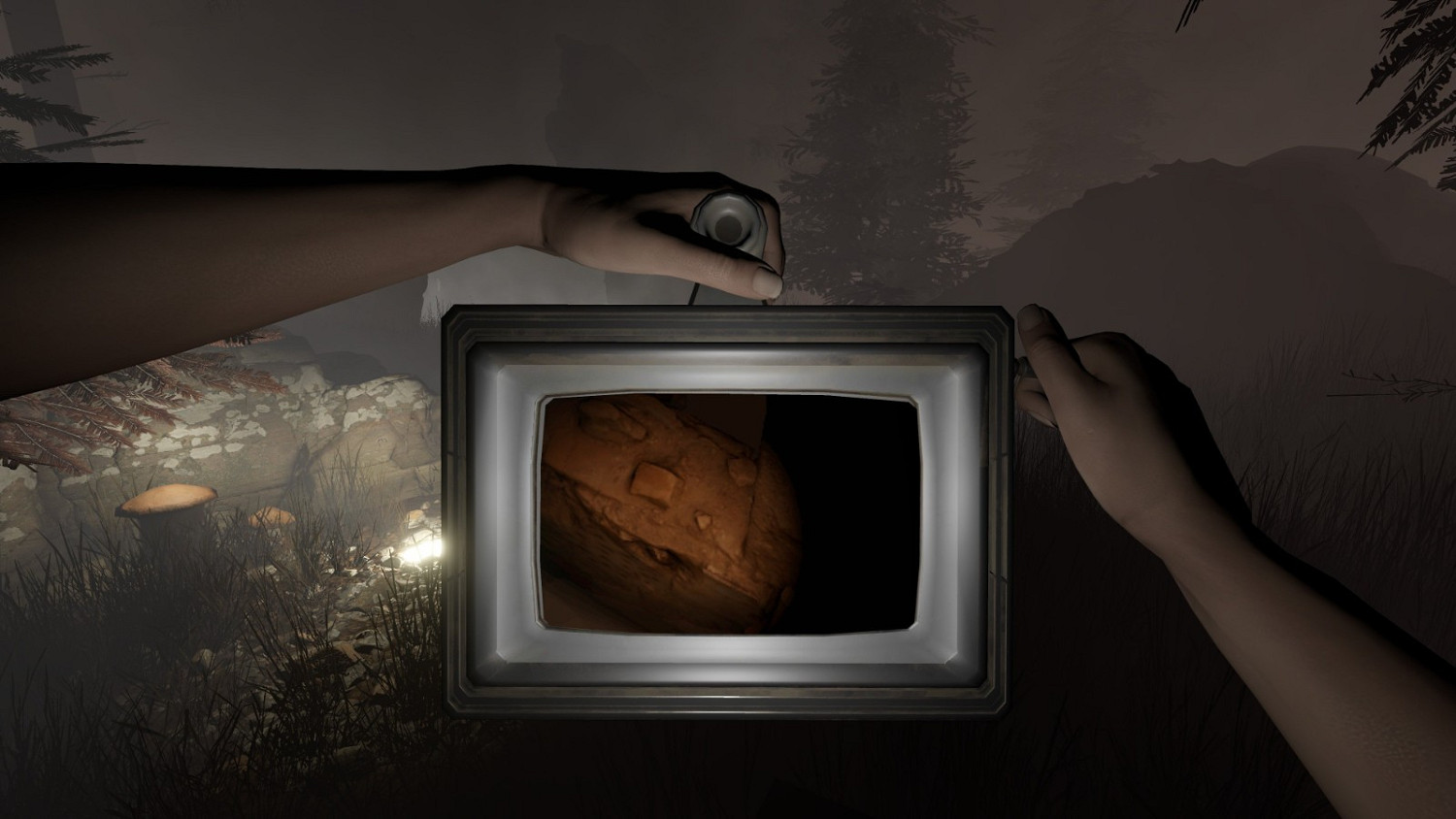 《塞爾維亞》系列第三部《塞爾維亞：黑水》正式官宣