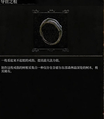 《墮落之主》導管之根獲得方法