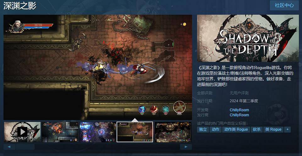 俯視角動作Roguelite遊戲《深淵之影》Steam頁面上線 支援中文