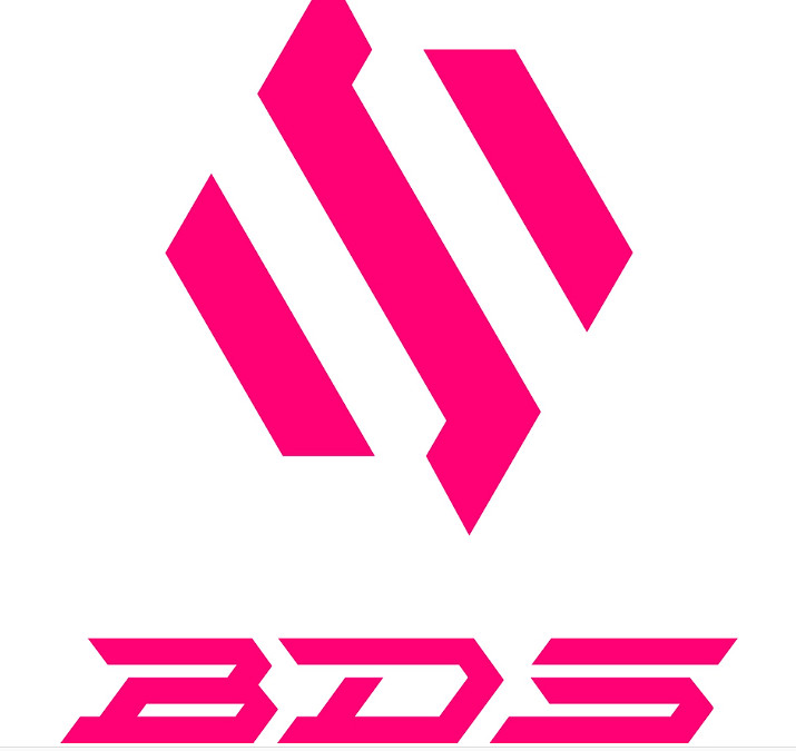 《lol》入圍賽BDS vs TW影片介紹