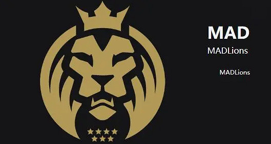 《lol》S13世界賽參賽戰隊介紹