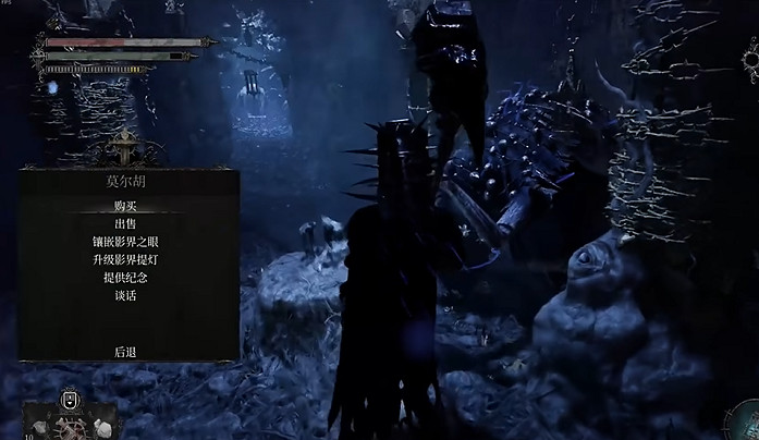 《墮落之主》母親的注視戒指獲得方法