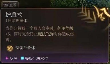 《柏德之門3》龍血支援術士分享 《柏德之門3》龍血支援術士分享
