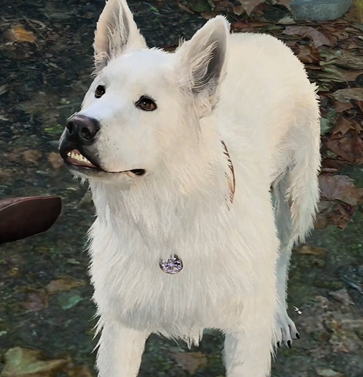 《柏德之門3》蜘蛛變狗MOD分享