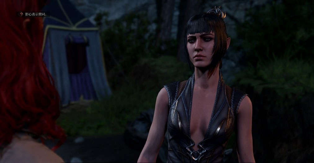 《柏德之門3》影心髮型MOD分享