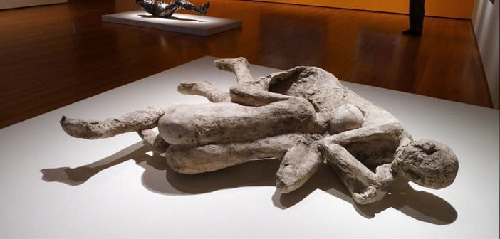 《星空》愛情彩蛋分享 關於愛情的彩蛋是什麽？