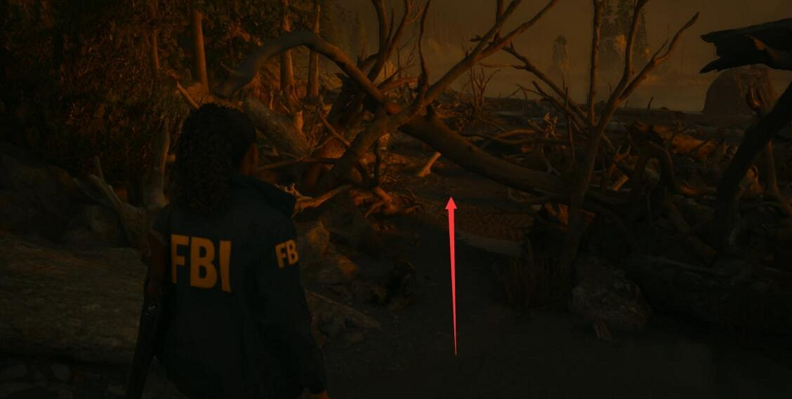 《心靈殺手2》樹杈處保險箱怎麽開？