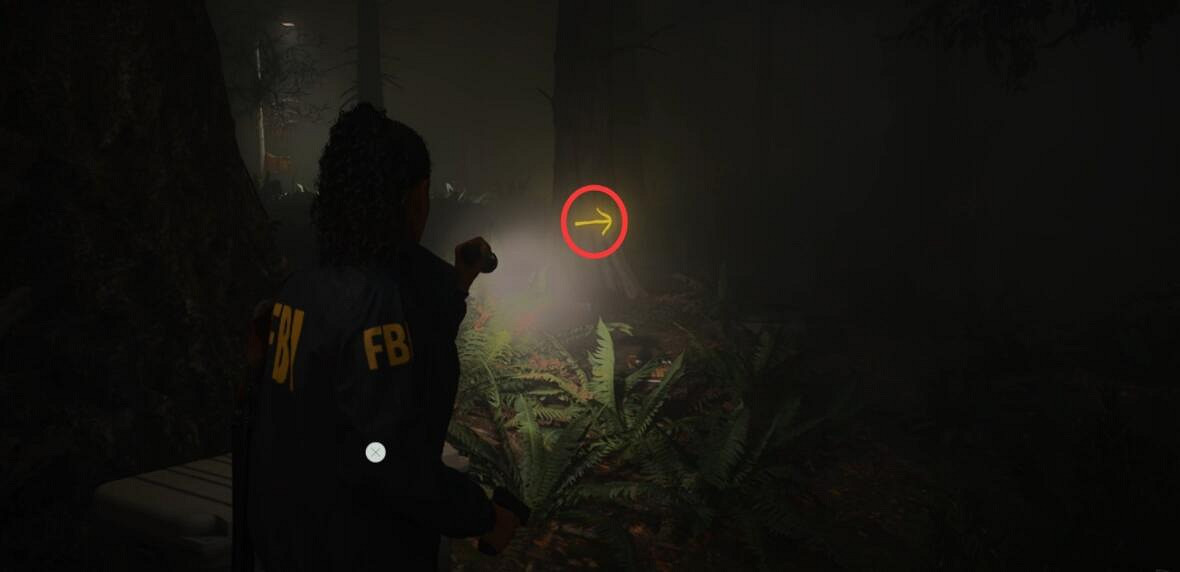 《心靈殺手2》女巫之勺營地保險箱開法