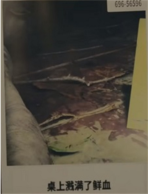 《心靈殺手2》第一章線索總結