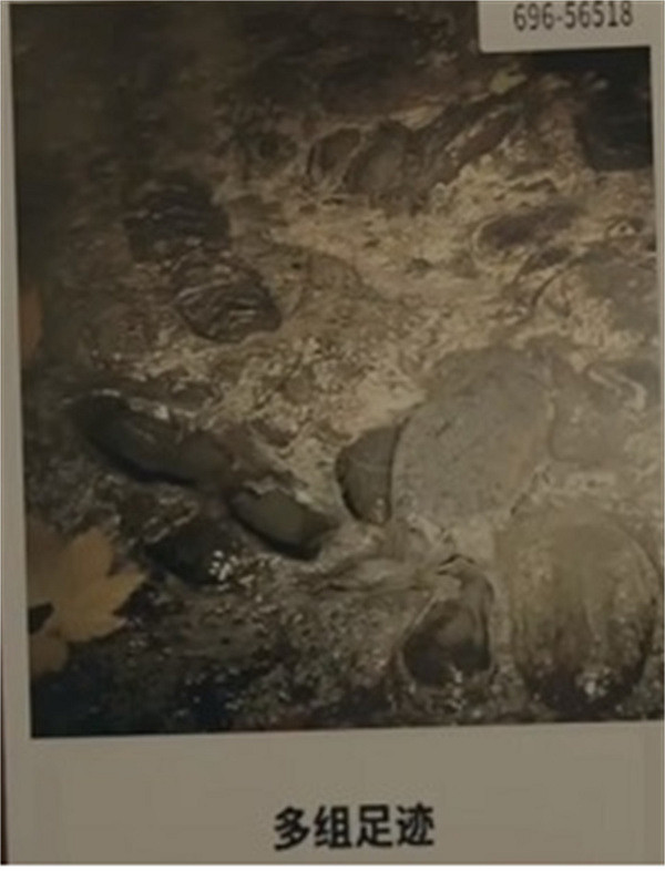 《心靈殺手2》第一章線索總結