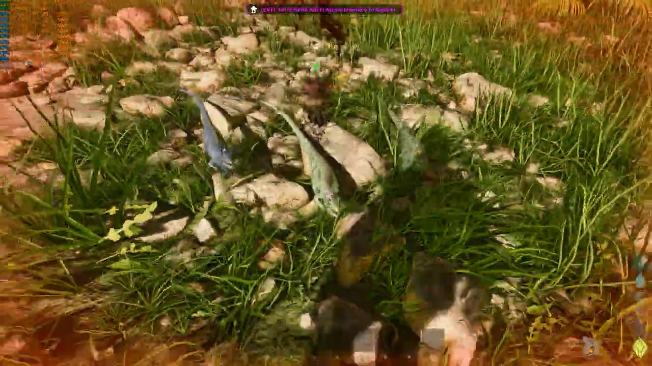 《方舟:生存進化》虛幻5升級版RTX4090 4K遊戲評測 《方舟:生存進化》虛幻5升級版RTX4090 4K遊戲評測