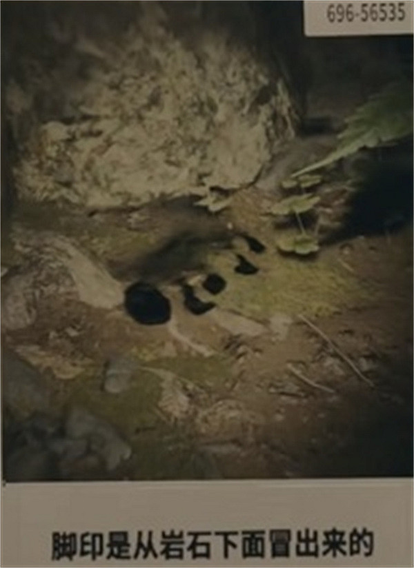 《心靈殺手2》第一章線索總結