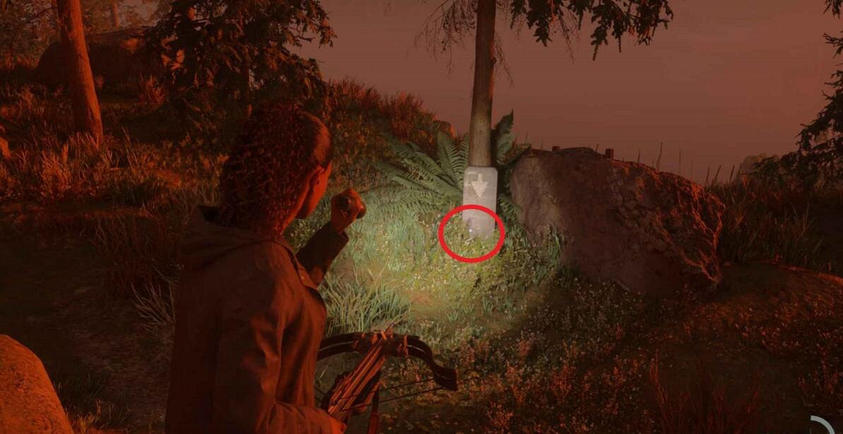 《心靈殺手2》地堡森林藏匿物鑰匙位置 《心靈殺手2》地堡森林藏匿物鑰匙位置