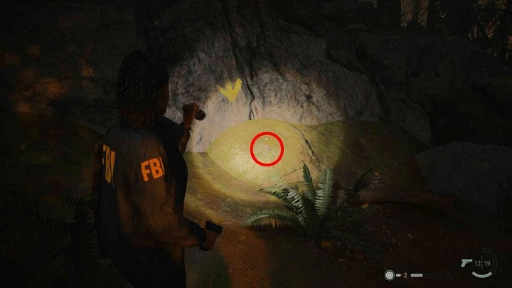 《心靈殺手2》回歸2心臟藏匿物位置分享