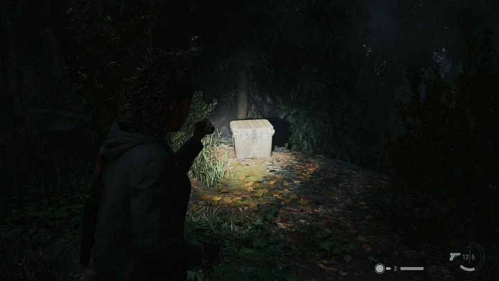 《心靈殺手2》回歸3女孩藏匿物位置分享 《心靈殺手2》回歸3女孩藏匿物位置分享