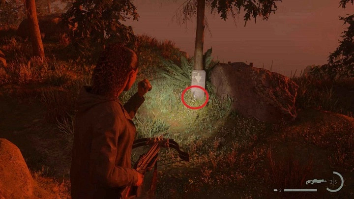 《心靈殺手2》回歸5藏匿物位置分享 《心靈殺手2》回歸5藏匿物位置分享