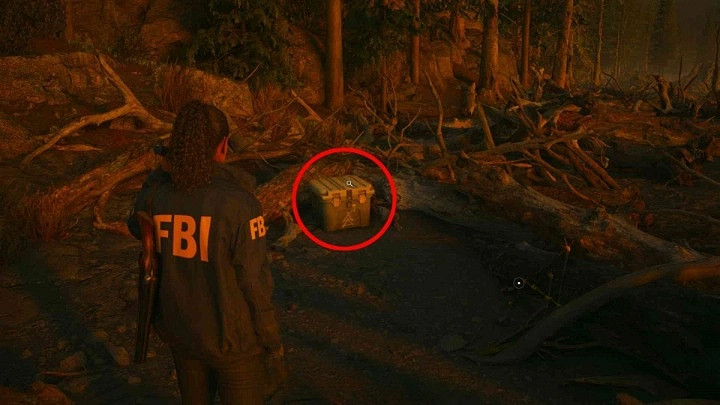 《心靈殺手2》回歸2心臟藏匿物位置分享