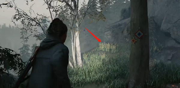 《心靈殺手2》物品全收集攻略 《心靈殺手2》物品全收集攻略