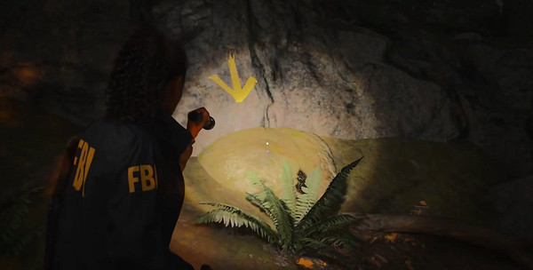 《心靈殺手2》物品全收集攻略 《心靈殺手2》物品全收集攻略