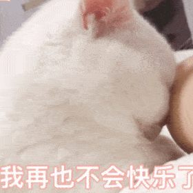 再度跳票,《浩劫前夕》有望獲得年度最佳大餅獎 再度跳票,《浩劫前夕》有望獲得年度最佳大餅獎