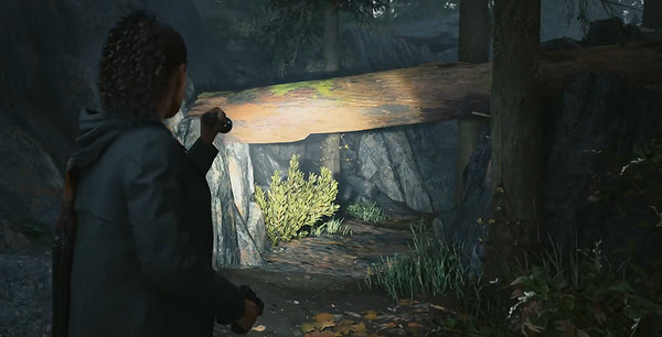 《心靈殺手2》物品全收集攻略 《心靈殺手2》物品全收集攻略