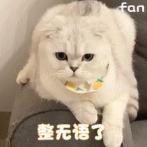 再度跳票,《浩劫前夕》有望獲得年度最佳大餅獎 再度跳票,《浩劫前夕》有望獲得年度最佳大餅獎