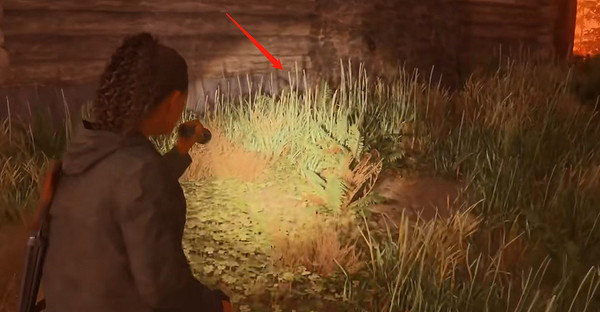 《心靈殺手2》物品全收集攻略