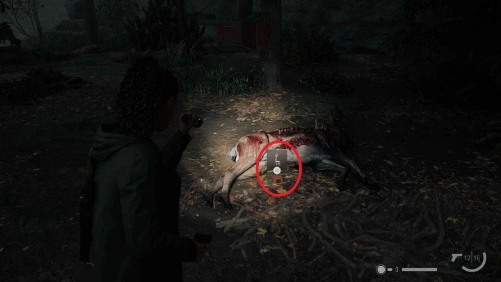 《心靈殺手2》鹿護身符獲取分享 《心靈殺手2》鹿護身符獲取分享