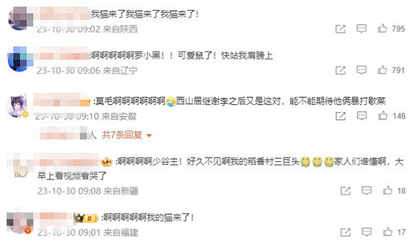 讓劍網3千萬玩家沉迷的一隻貓,終於上線遊戲了 讓劍網3千萬玩家沉迷的一隻貓,終於上線遊戲了