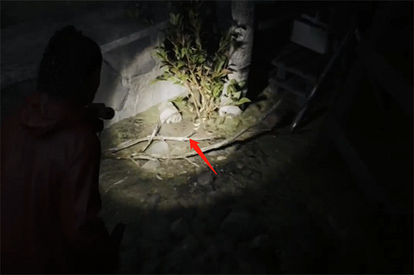 《心靈殺手2》富水鎮霍塔裡井藏匿物收集攻略