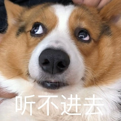 大名鼎鼎之畫餅大神——《珊瑚島》