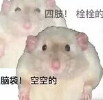 大名鼎鼎之畫餅大神——《珊瑚島》