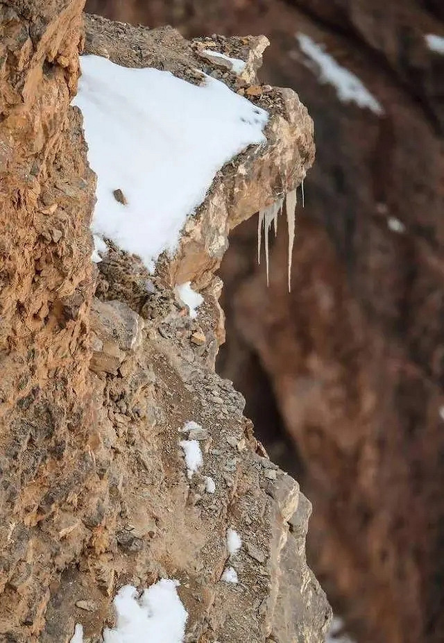 小蟲子的髮型像雷達！27張大漲姿勢的“活久見”照片