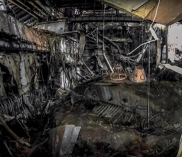 小蟲子的髮型像雷達！27張大漲姿勢的“活久見”照片