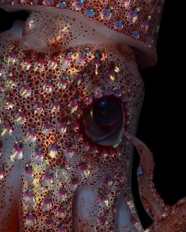 小蟲子的髮型像雷達！27張大漲姿勢的“活久見”照片