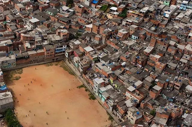 小蟲子的髮型像雷達！27張大漲姿勢的“活久見”照片